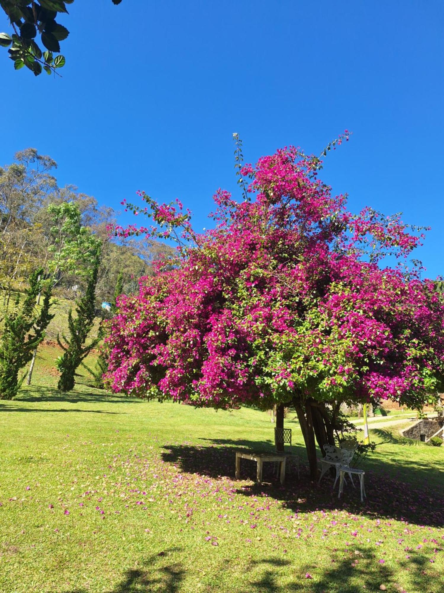 Pousada Vista Linda São Bento do Sapucaí Eksteriør billede